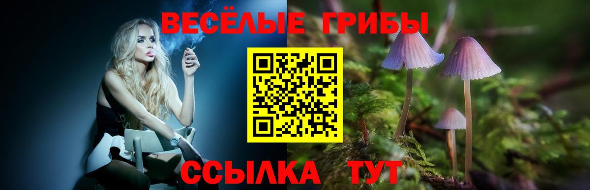Псилоцибиновые грибы Psilocybine cubensis  Вход с VPN  Менделеевск 